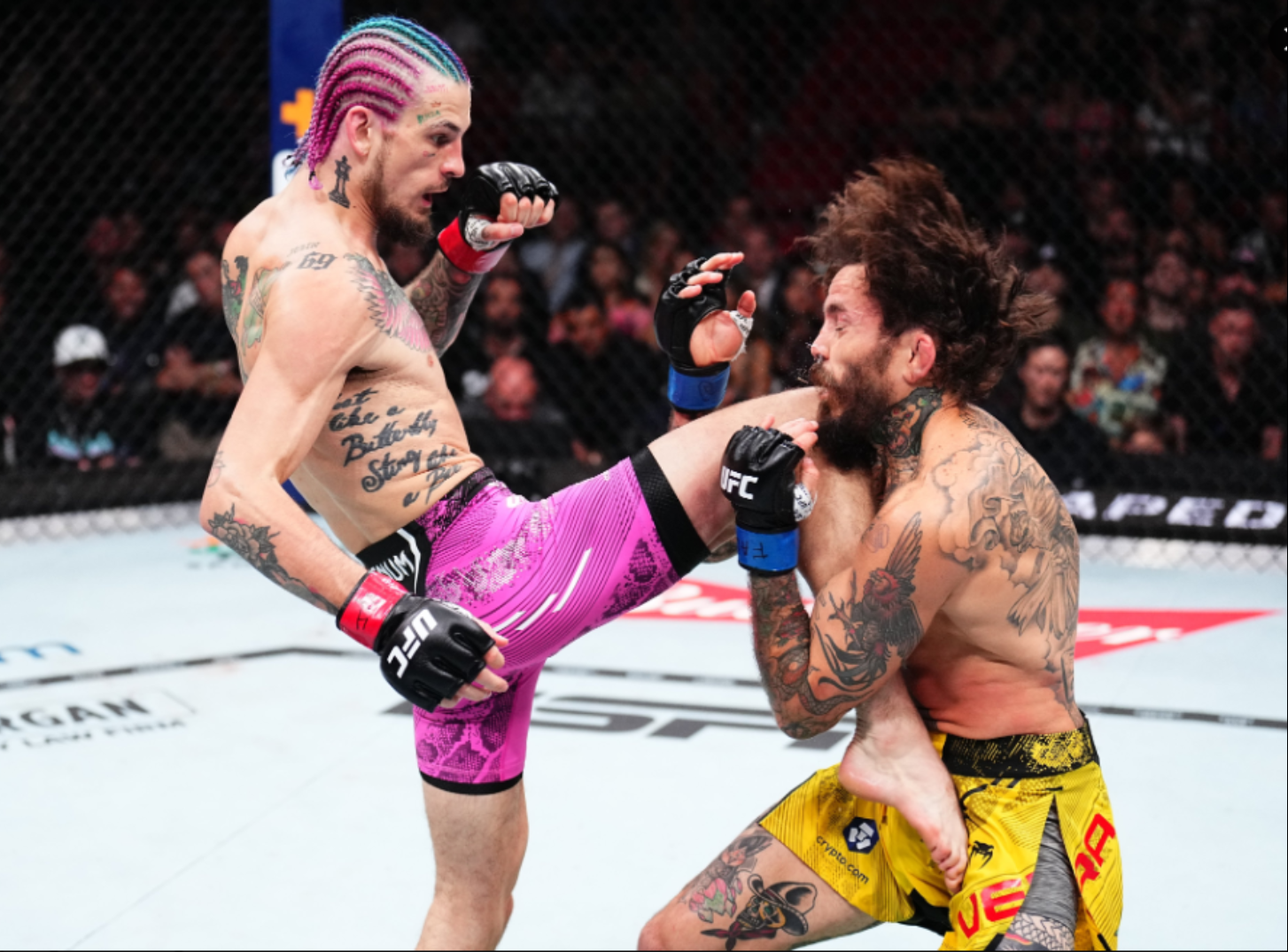 UFC 299: Résultats de ce magnifique évènement !